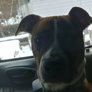 Meet your Posher, Shawn